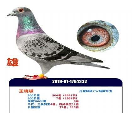 500����7��