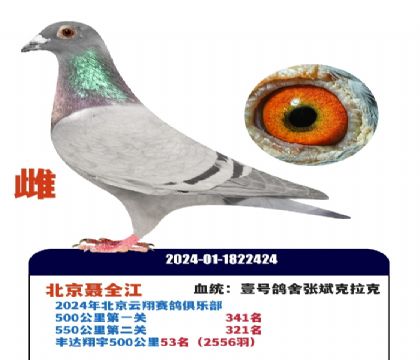 Ҽ�Ÿ����ű������