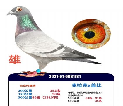 ������x�Ǳ�