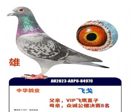 �л���ҵ�ɸ�