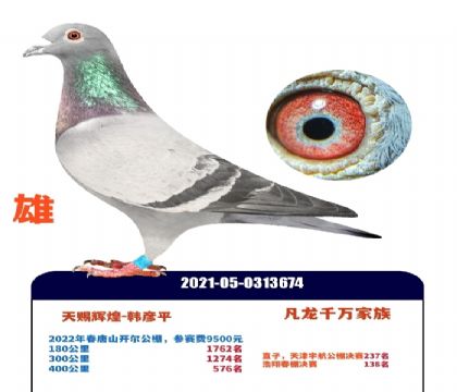 ����ǧ�����