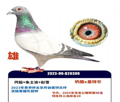 ���籭������ӥ������