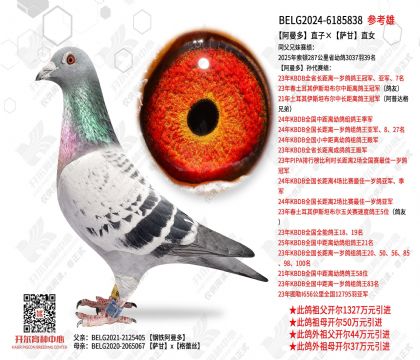 ������ֱ�ӡ�����ֱŮ