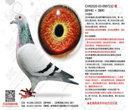 �Ӷ��ߡ�����