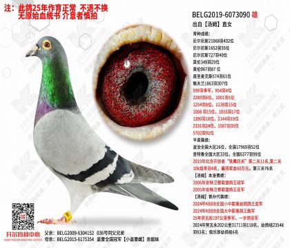 ������ķֱŮ