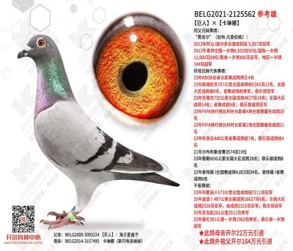 ���ˡ�������