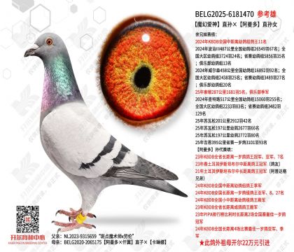 ħ�ð���ֱ���������ֱ��Ů