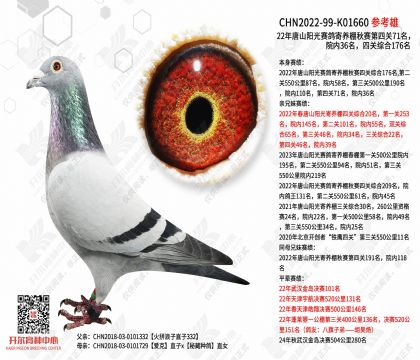 22������������������Ĺ�71����Ժ��36�����Ĺ��ۺ�176