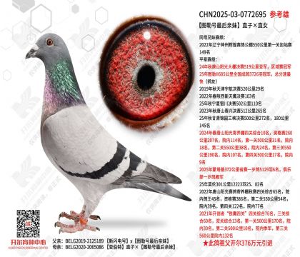 ��ͼ�պ�������á�ֱ�ӡ�ֱŮ