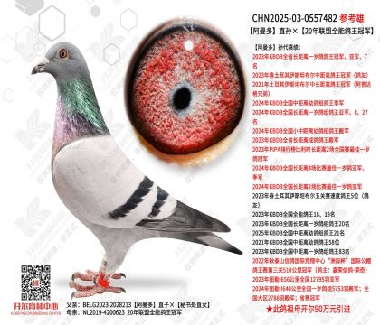 ������ֱ���20������ȫ�ܸ����ھ�