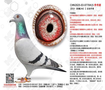 �ж�������240����������