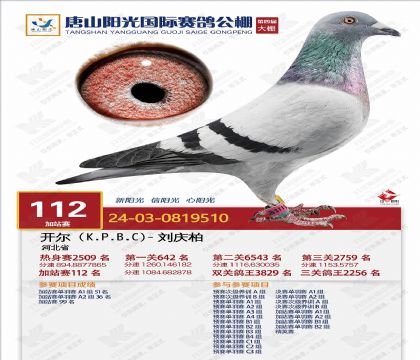 24������ɽ��������վ��112��