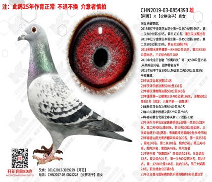 ��������ƴ����ֱŮ