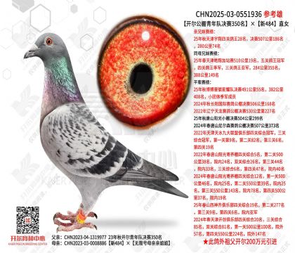 ������������Ӿ���350������484ֱŮ