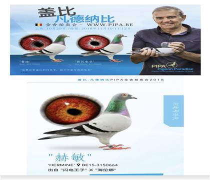 �Ǳ���������