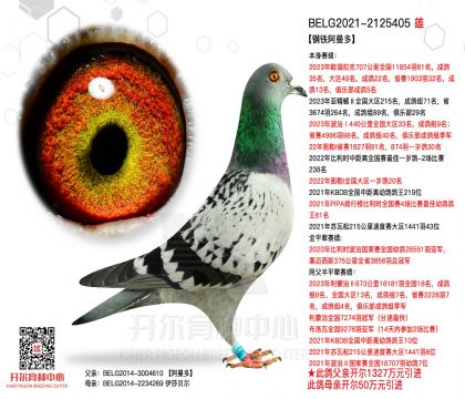 2����BELG2021-2125405