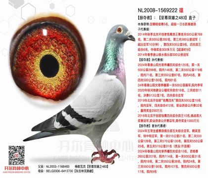 2����NL2008-1569222