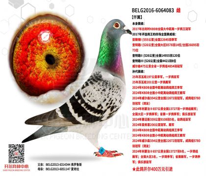 2����ĸ-6064083