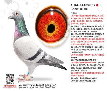 2����-0101332