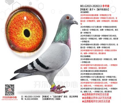 2����-2028213