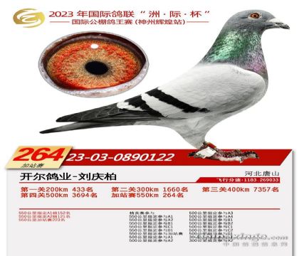 2����-0890122