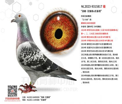 2����NL2023-9315817