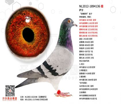 3���游NL2012-1894136