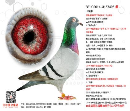 3ĸ��BELG2014-3157495