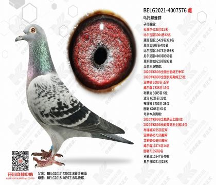 3ĸ��BELG2021-4007576