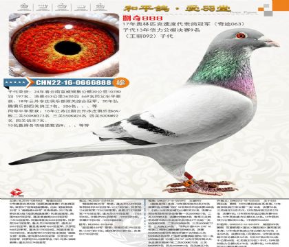 ����ƥ���ٶȴ�����ھ��漣063������092������ѷ���
