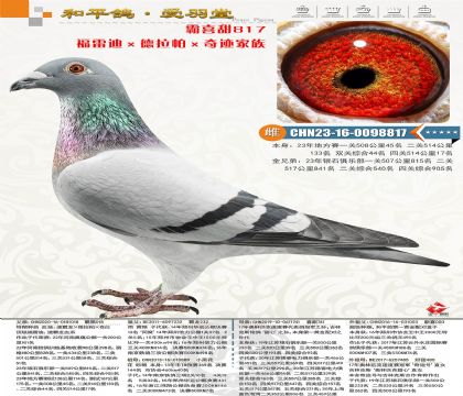 �ٰ�����С�ڻ����壬�������500�����λ
