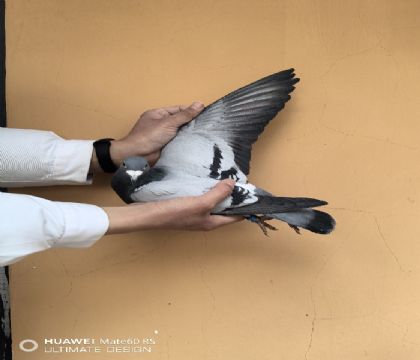 ��ظ���13���Ӵ�������ȫƽ���Ӵ�������ֱŮ����ĸ�������