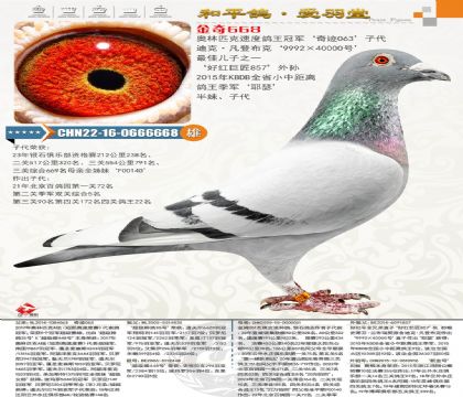 ����ƥ���ٶȸ����ھ������ǲ���992��4000����