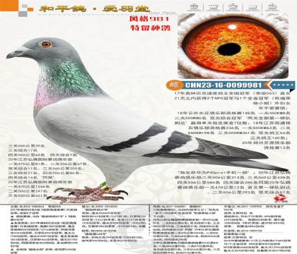 �漣����ŷ�߿ˣ���ƽ������ˮׯ˫���ۺϹھ����´�����13�ȡ�