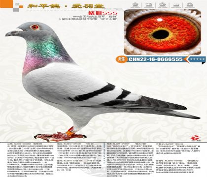��ºض���������ȫ�������ھ�������ȫ�������ھ�