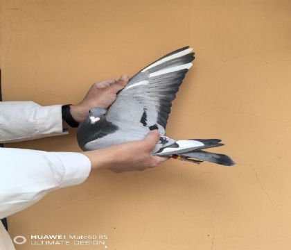 ���ǲ��˸ߴ����ף���ĸ���ʹ����롰���ض���ͬ����