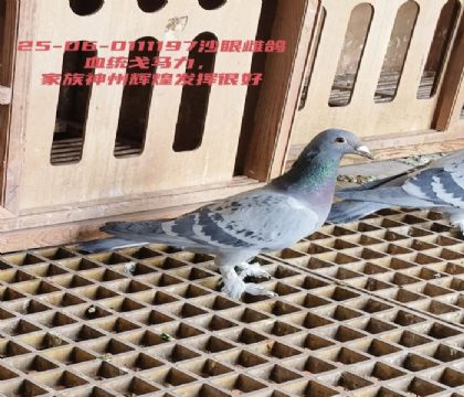 ���������������ݻԻ͹��﷢�ӱȽϺ�