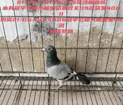 ���ҹ�����վ��˫�ظ���119��4ǧ