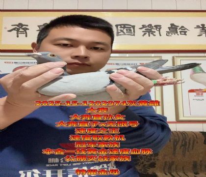 速度金母!大奔直子x无限号288!