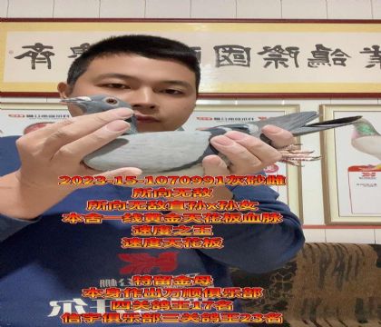 天花板血脉!所向无敌直孙x孙女回血金母