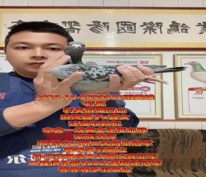 高级种雄!利奥麻鹰直子x直女回血!速度