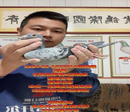 提速法宝!利奥新罗西x独眼雌!金母