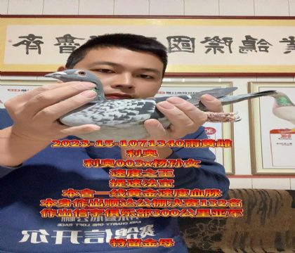 速度王者!利奥003直子x杨孙女!金母