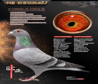 ղɭԭ�ṫ����131X130ֱ��X222������ĸ