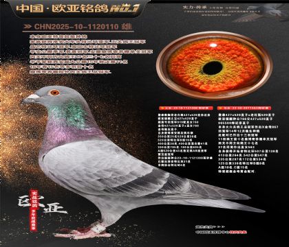 ղɭ919����308Xղɭ766ֱŮ563