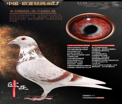 ��������ȫ���ھ�̩ɽ�Ŷ��ؽ���357X133