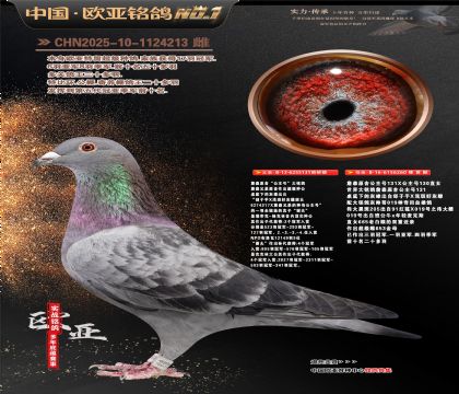 ղɭԭ�ᡰ�����š�131XֱŮ653