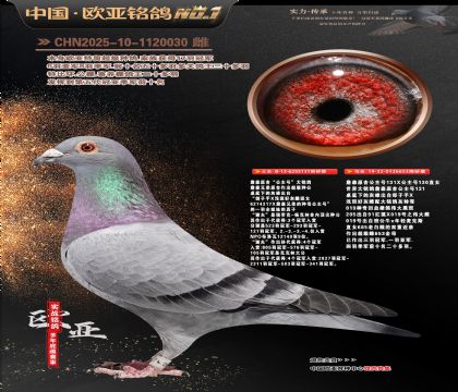 ղɭԭ�ᡰ�����š�131XֱŮ653