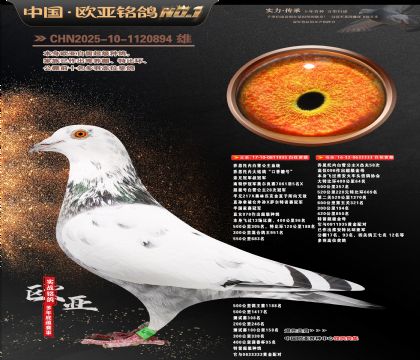 ��˼���ڰ�ѩ����ԭ��935X333