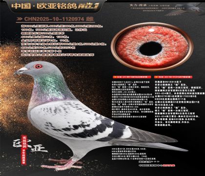 ����ԭ��622X697